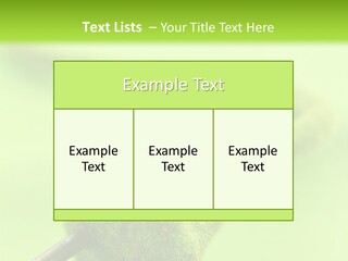 Ecological Plug Environmental PowerPoint Template
