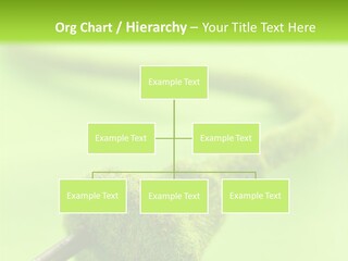 Ecological Plug Environmental PowerPoint Template