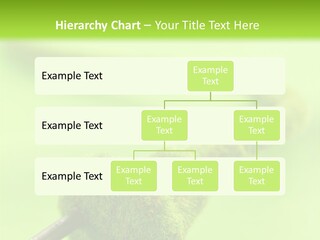 Ecological Plug Environmental PowerPoint Template