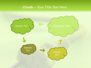 Ecological Plug Environmental PowerPoint Template