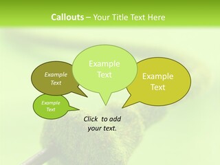 Ecological Plug Environmental PowerPoint Template