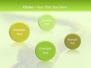 Ecological Plug Environmental PowerPoint Template