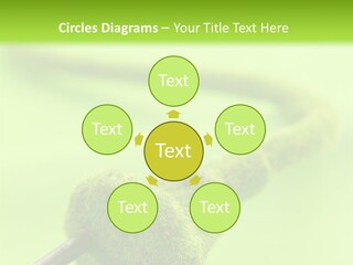 Ecological Plug Environmental PowerPoint Template
