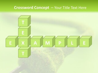 Ecological Plug Environmental PowerPoint Template