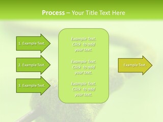 Ecological Plug Environmental PowerPoint Template