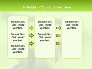 Ecological Plug Environmental PowerPoint Template