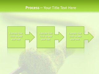 Ecological Plug Environmental PowerPoint Template