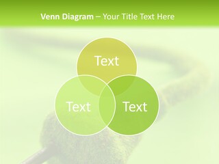 Ecological Plug Environmental PowerPoint Template