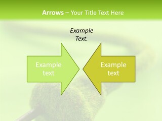 Ecological Plug Environmental PowerPoint Template