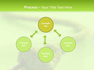 Ecological Plug Environmental PowerPoint Template