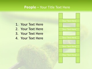 Ecological Plug Environmental PowerPoint Template