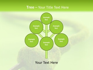 Ecological Plug Environmental PowerPoint Template