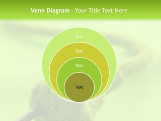 Ecological Plug Environmental PowerPoint Template