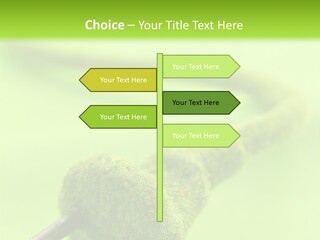 Ecological Plug Environmental PowerPoint Template