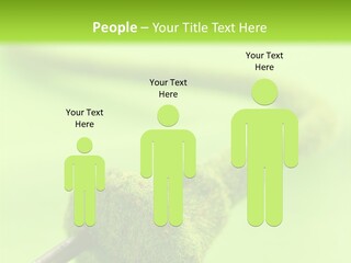 Ecological Plug Environmental PowerPoint Template