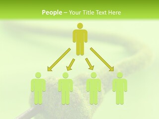 Ecological Plug Environmental PowerPoint Template
