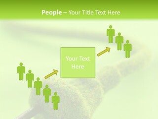 Ecological Plug Environmental PowerPoint Template