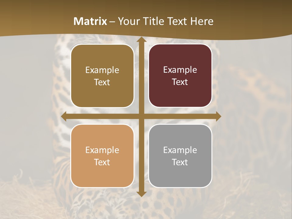 Portrait Panther Angry PowerPoint Template