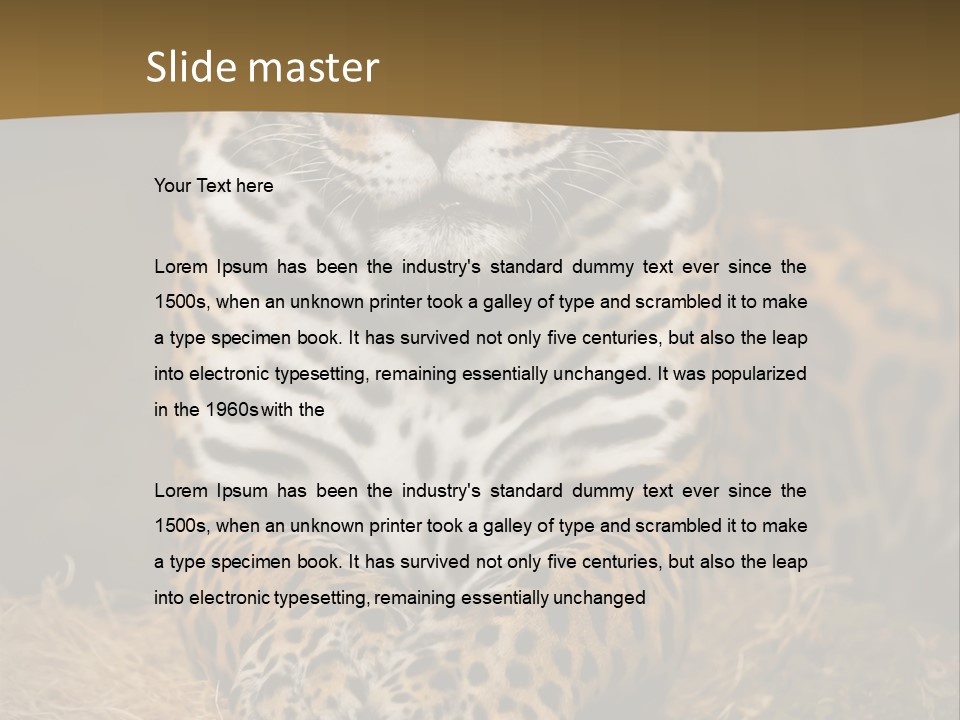 Portrait Panther Angry PowerPoint Template