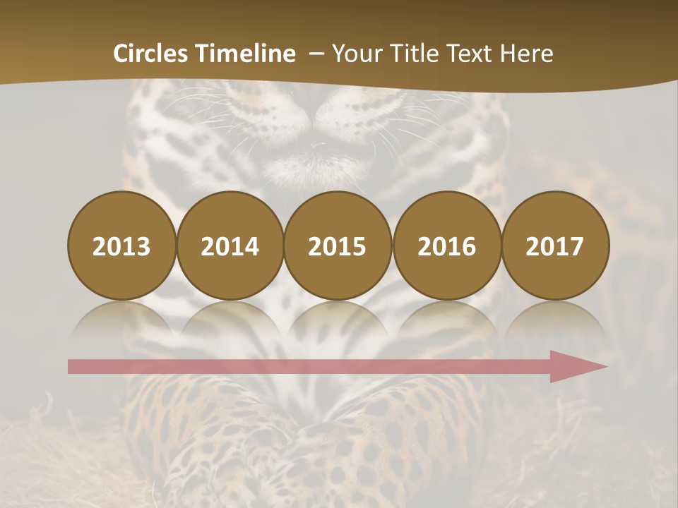 Portrait Panther Angry PowerPoint Template