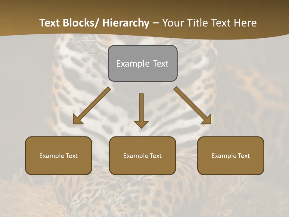 Portrait Panther Angry PowerPoint Template