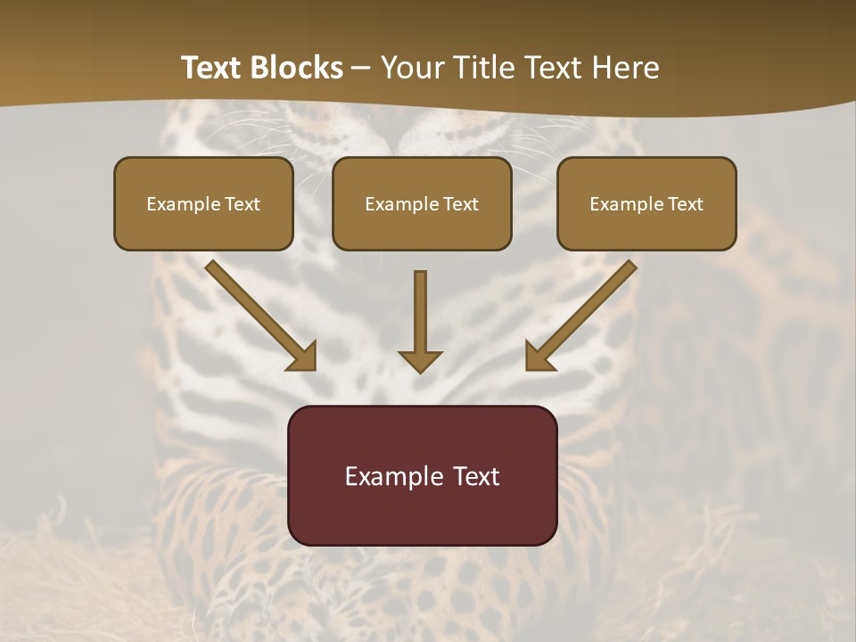 Portrait Panther Angry PowerPoint Template