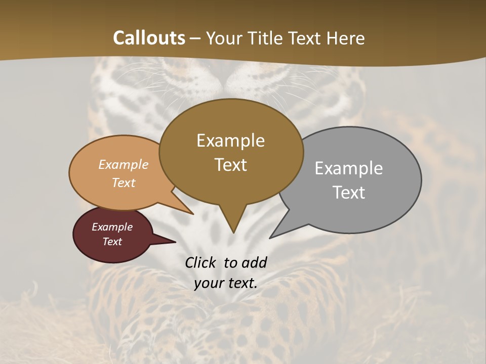 Portrait Panther Angry PowerPoint Template