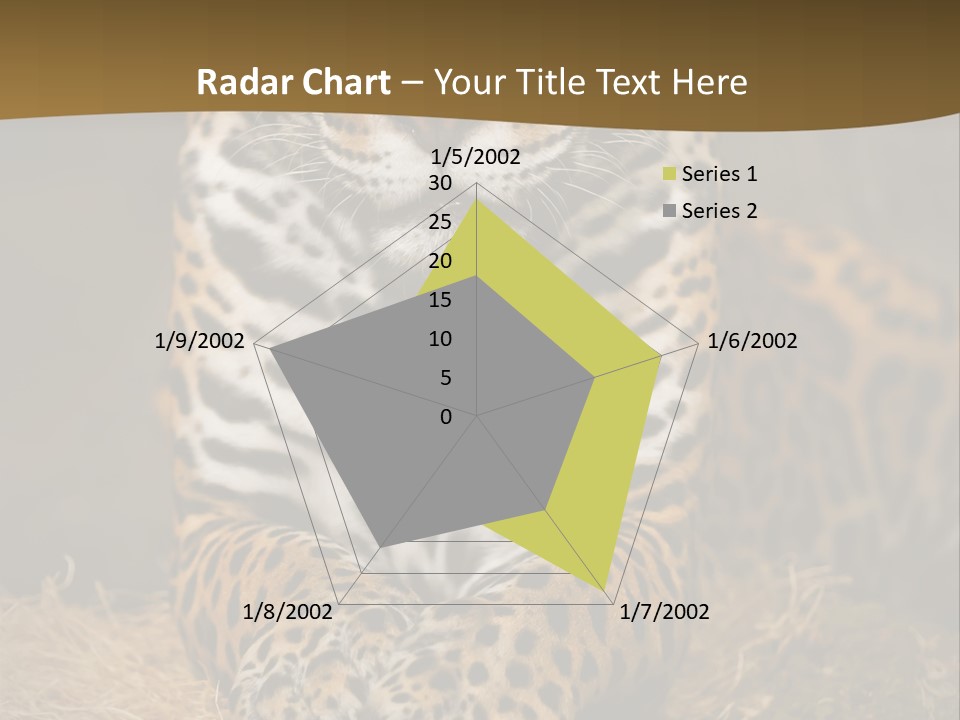 Portrait Panther Angry PowerPoint Template