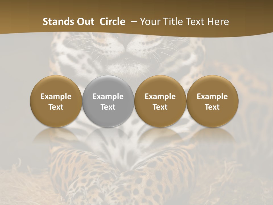 Portrait Panther Angry PowerPoint Template