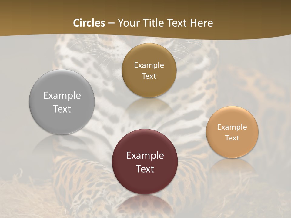 Portrait Panther Angry PowerPoint Template