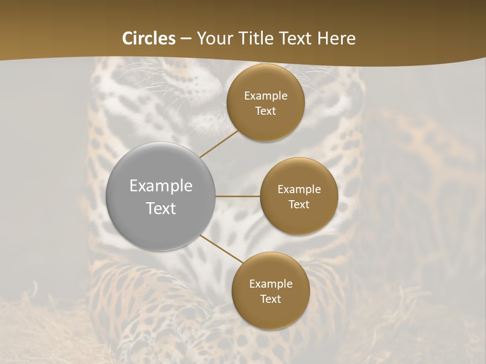 Portrait Panther Angry PowerPoint Template