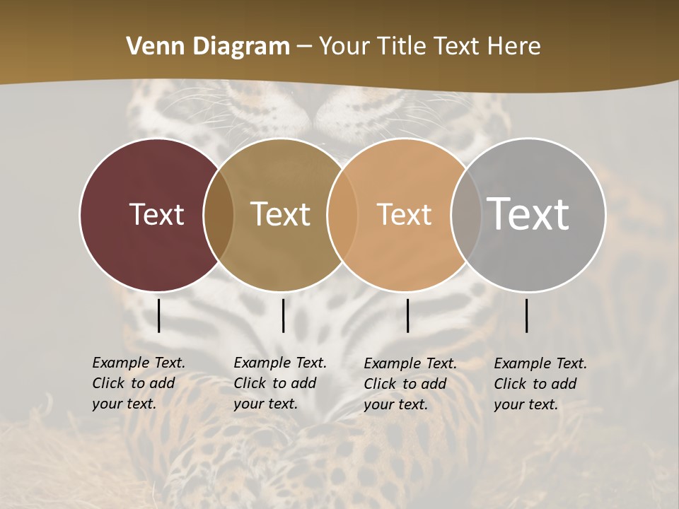 Portrait Panther Angry PowerPoint Template