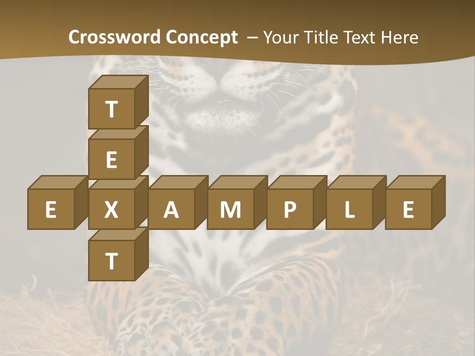 Portrait Panther Angry PowerPoint Template