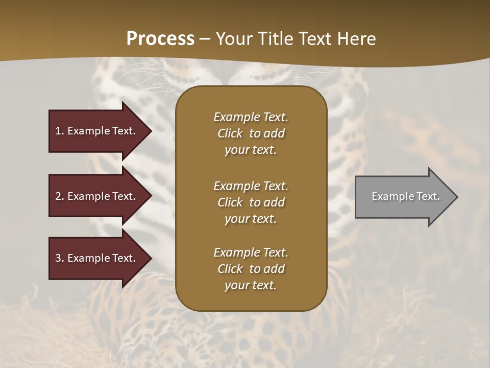 Portrait Panther Angry PowerPoint Template