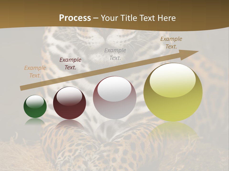 Portrait Panther Angry PowerPoint Template