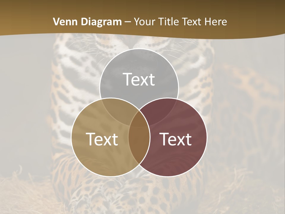 Portrait Panther Angry PowerPoint Template