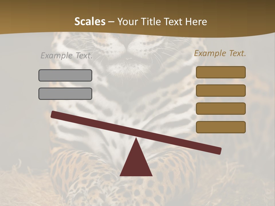 Portrait Panther Angry PowerPoint Template