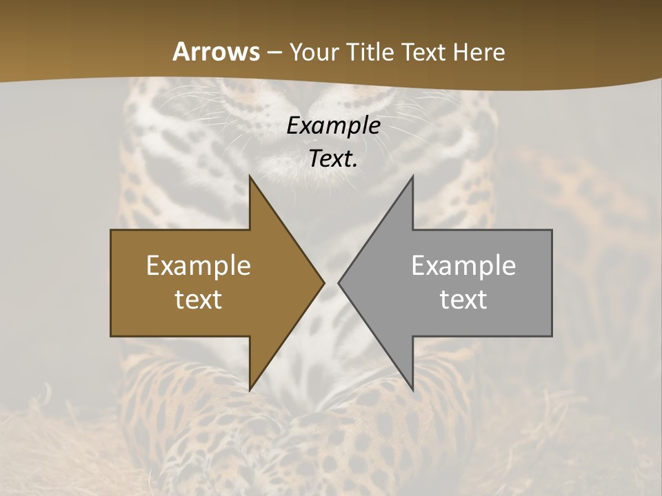 Portrait Panther Angry PowerPoint Template