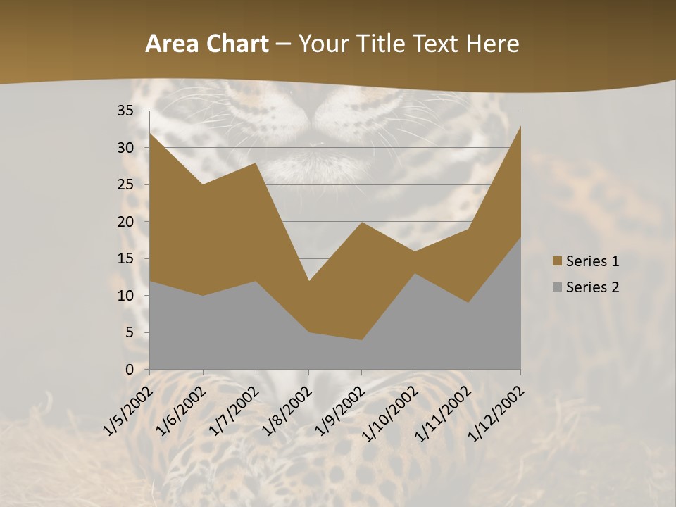 Portrait Panther Angry PowerPoint Template