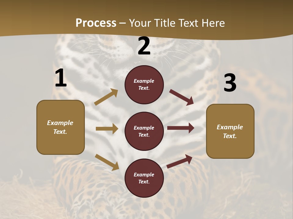 Portrait Panther Angry PowerPoint Template