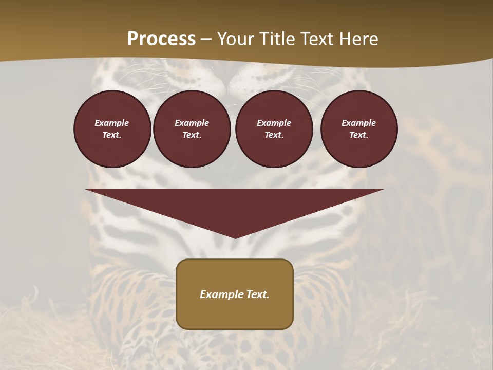 Portrait Panther Angry PowerPoint Template