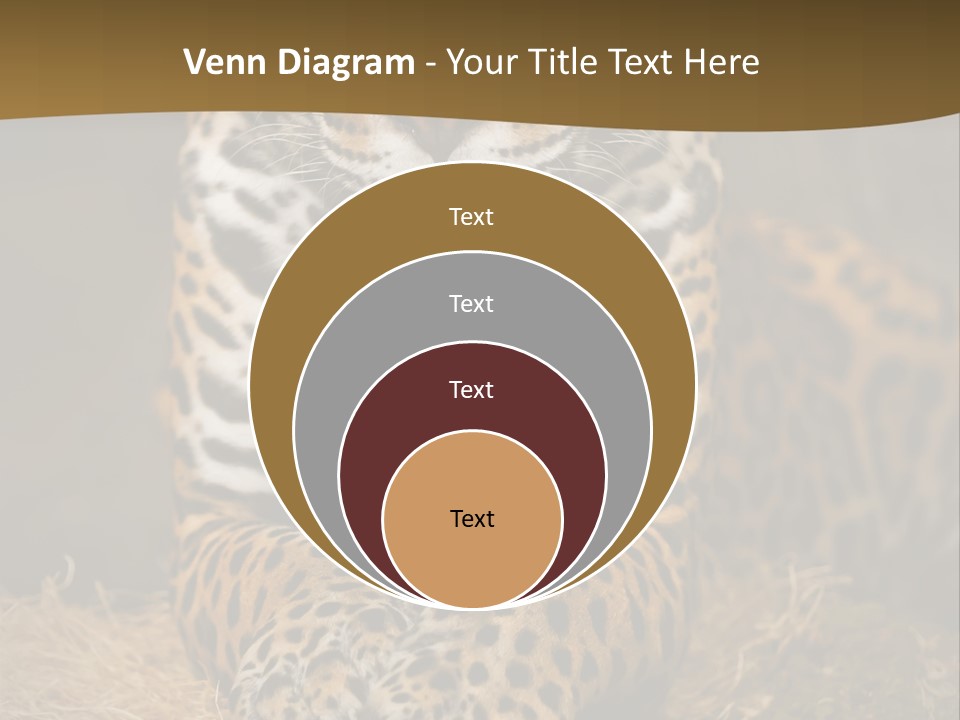 Portrait Panther Angry PowerPoint Template