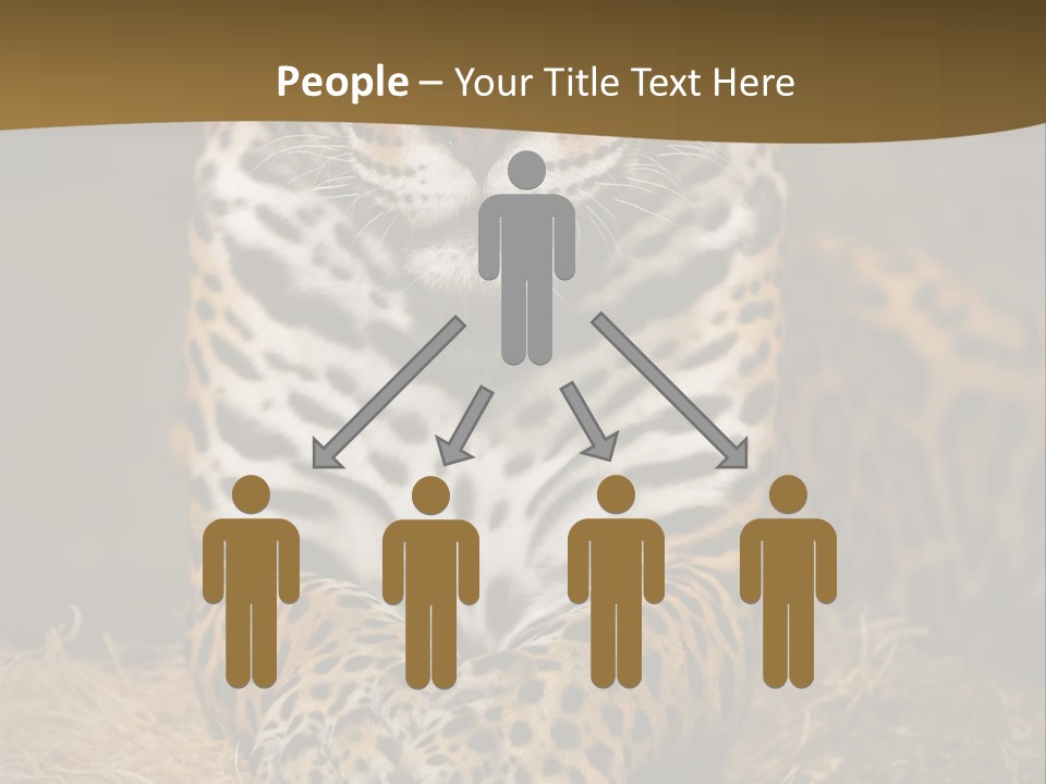 Portrait Panther Angry PowerPoint Template