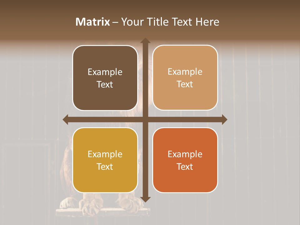 Lion Big Dangerous PowerPoint Template