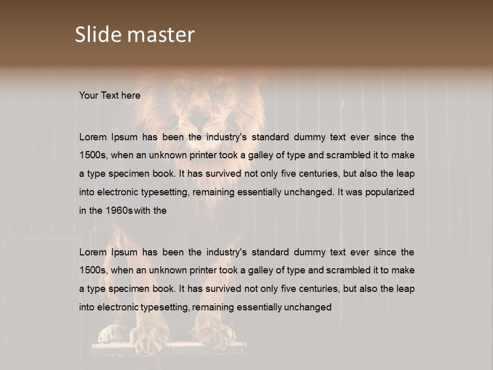 Lion Big Dangerous PowerPoint Template