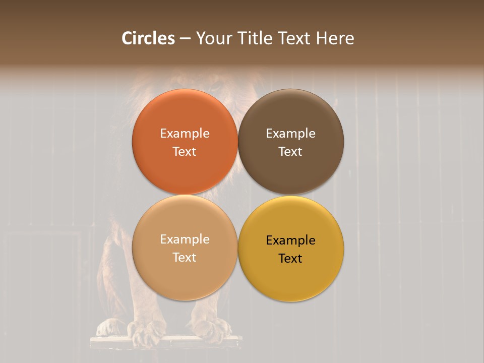 Lion Big Dangerous PowerPoint Template