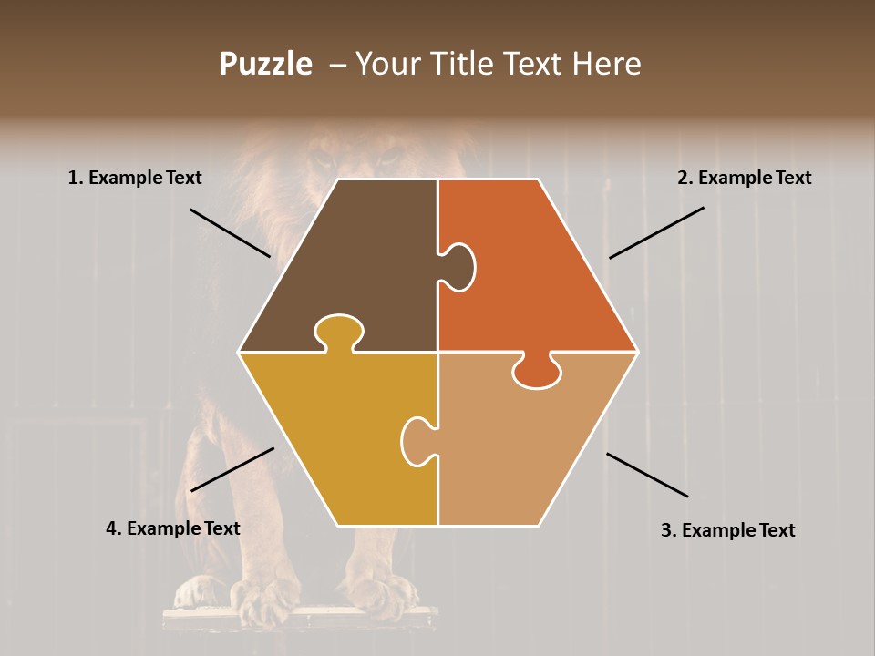 Lion Big Dangerous PowerPoint Template