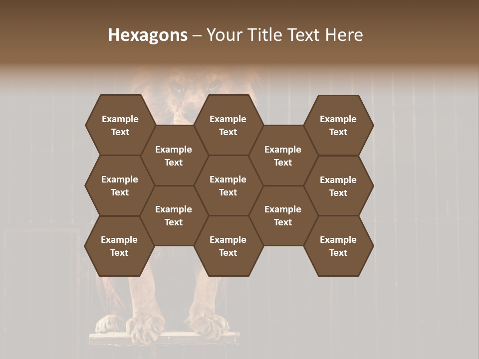 Lion Big Dangerous PowerPoint Template