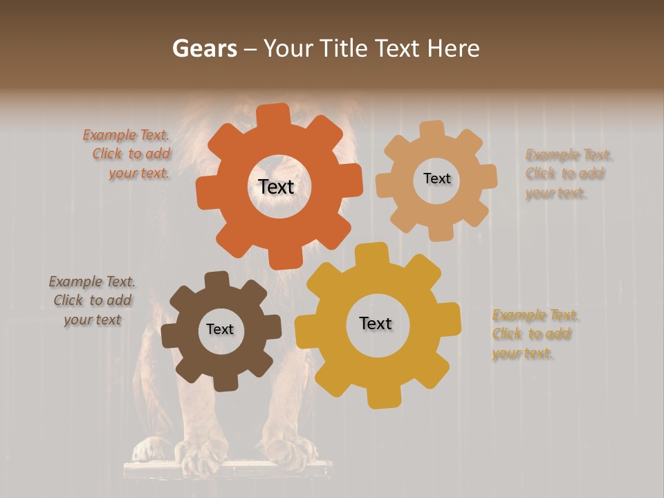 Lion Big Dangerous PowerPoint Template