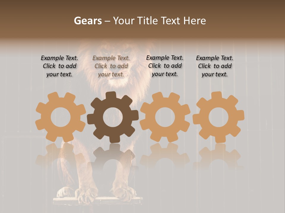 Lion Big Dangerous PowerPoint Template